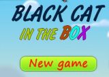 Black Cat in the Box