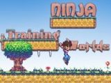 Ninja Training Worlds